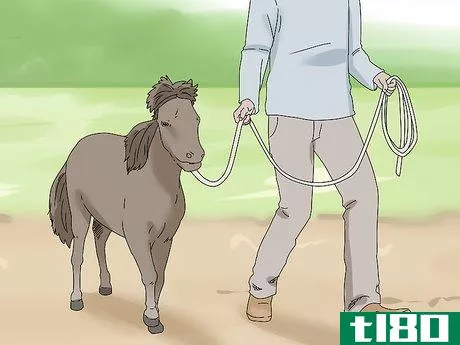 Image titled Keep a Miniature Horse Fit Step 9