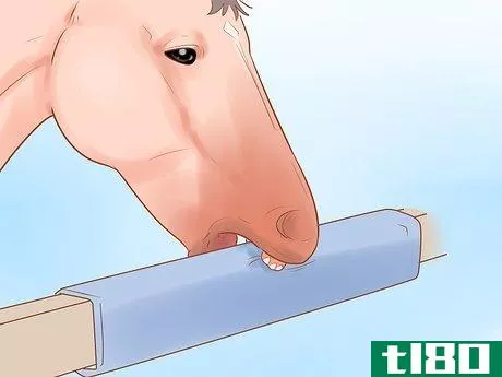 Image titled Keep a Horse from Cribbing Step 13