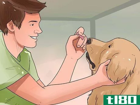 Image titled Give Your Dog Eye Drops Step 12