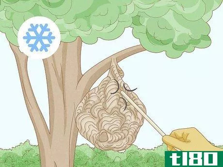 Image titled Get Rid of a Wasp's Nest Step 18
