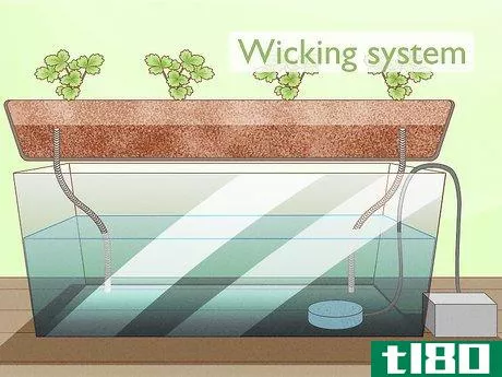 Image titled Grow Hydroponic Strawberries Step 1