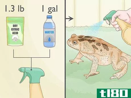 Image titled Get Rid of Frogs Step 12