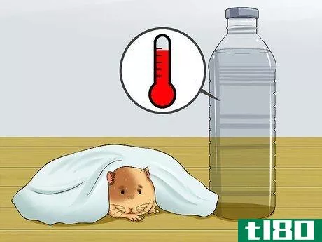 Image titled Get a Hamster out of Hibernation Step 6