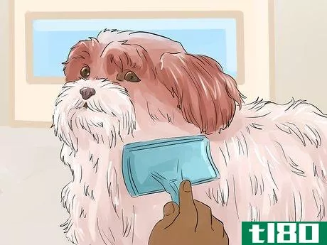 Image titled Help Your Dog Live Longer Step 14