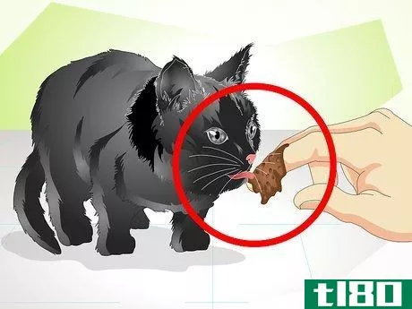 Image titled Help a New Kitten Become Familiar with Your Home Step 12