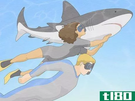 Image titled Get over Your Fear of Sharks Step 18