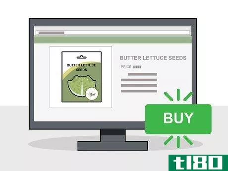 如何种植奶油莴苣(grow butter lettuce)