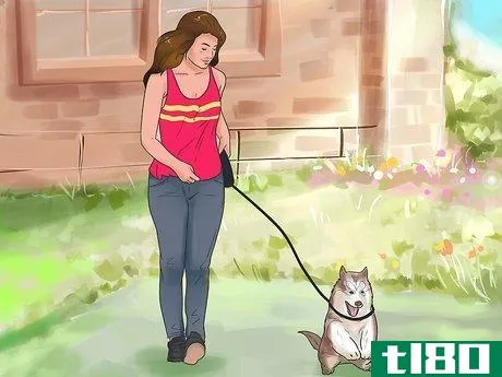 Image titled Hold a Dog's Leash Step 14