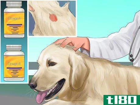 Image titled Help an Itching Dog Step 14