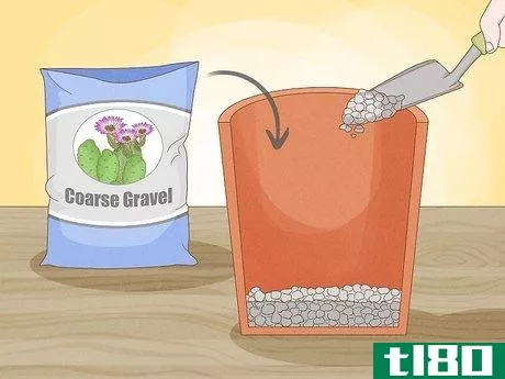 Image titled Grow Cactus in Containers Step 7