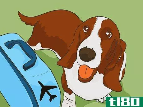 Image titled Handle Holiday Travel with Your Pet Step 7