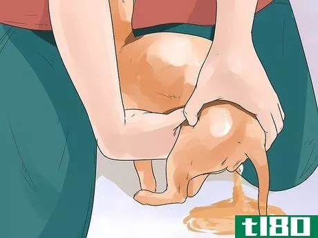 Image titled Help a Female Dog Who Is Injured Urinate Step 1