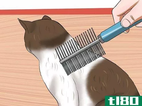 Image titled Check Cats for Fleas Step 6