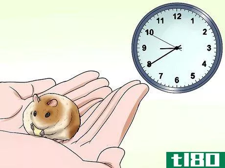 Image titled Handle a Hamster Without Being Bitten Step 9