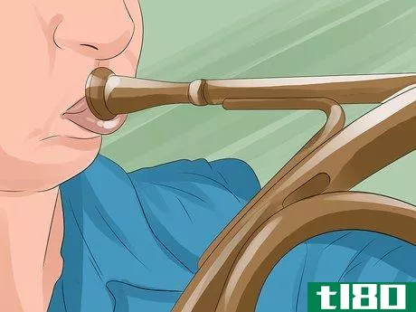 Image titled Play the French Horn Step 3
