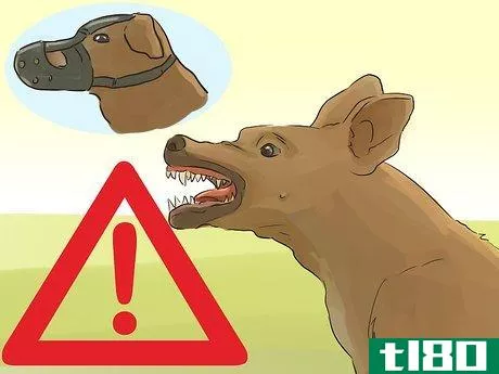 Image titled Help Your Dog Live Longer Step 12