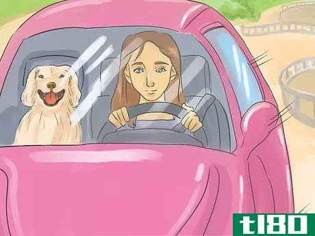 Image titled Help Your Dog Live Longer Step 20