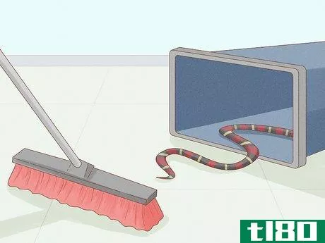Image titled Get Rid of Snakes Step 3