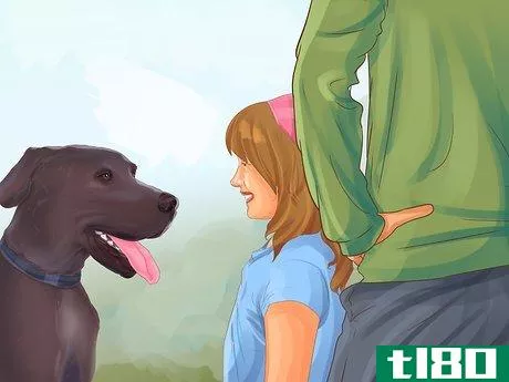 Image titled Identify a Great Dane Step 10
