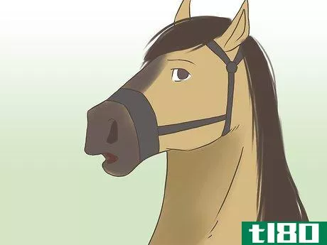 Image titled Get a Horse Fit Step 5