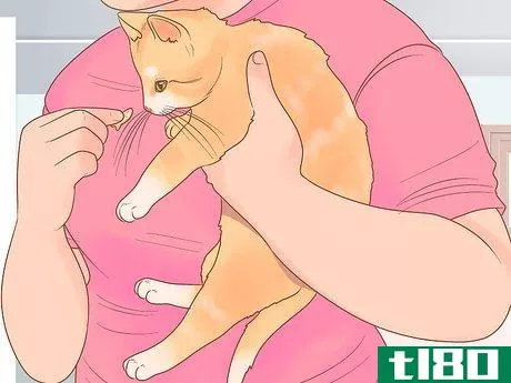 Image titled Get Rid of Tapeworms in Your Pets Step 8