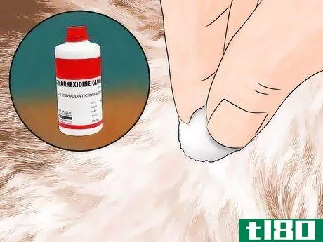 Image titled Get Ticks off Dogs Step 13