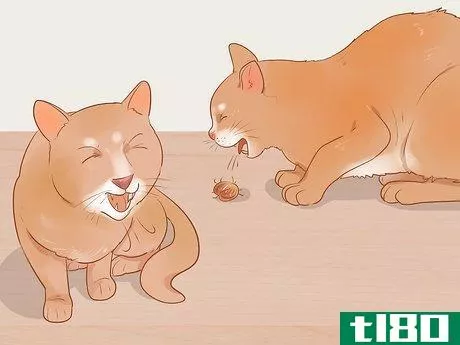 Image titled Know if Your Cat Is Sick Step 17