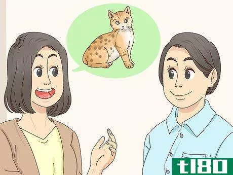 Image titled Identify a Bengal Cat Step 7