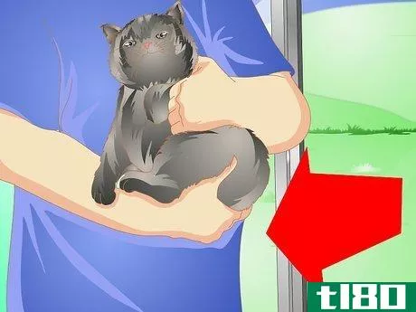 Image titled Get Your Cat Spayed Step 7