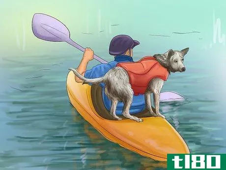 Image titled Keep Your Dog Safe on a Boat Ride Step 7