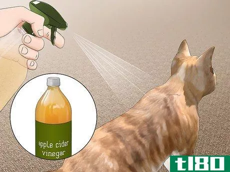 Image titled Get Rid of Fleas Step 3