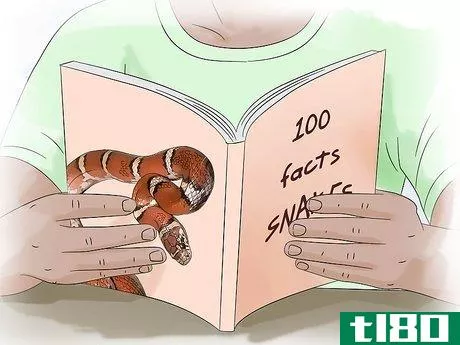 Image titled Get over Your Fear of Snakes Step 4