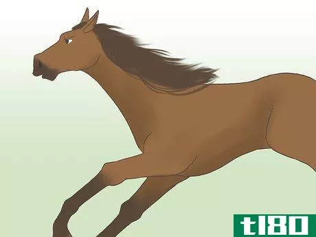 Image titled Get a Horse Fit Step 4