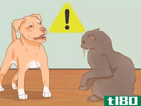 Image titled Introduce a New Puppy to the Resident Cat Step 11