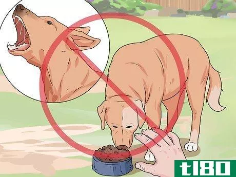 Image titled Handle a Dog Attack Step 14