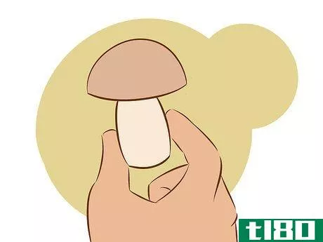 Image titled Grow Edible Mushrooms Step 13