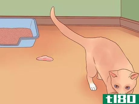 Image titled Know if Your Cat Is Afraid of Something Step 9
