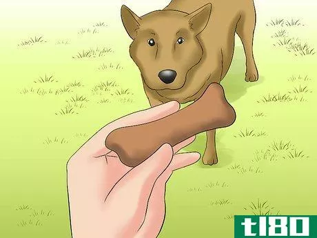 Image titled Handle an Approaching Dog Step 19