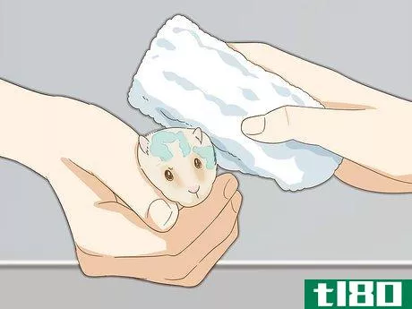 Image titled Give Your Hamster a Bath Step 8