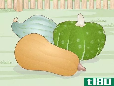 Image titled Grow Winter Squash Step 1