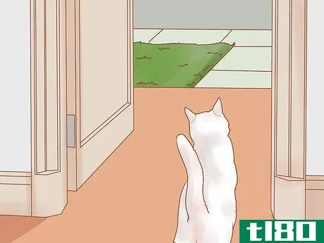 Image titled Introduce Your Kitten to the Outdoors Safely Step 4