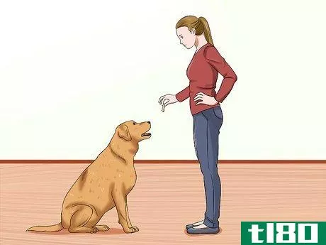 Image titled Introduce an Older Cat to a New Dog Step 4