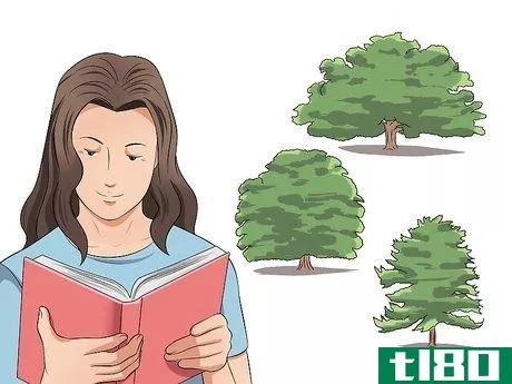 Image titled Identify Oak Trees Step 1