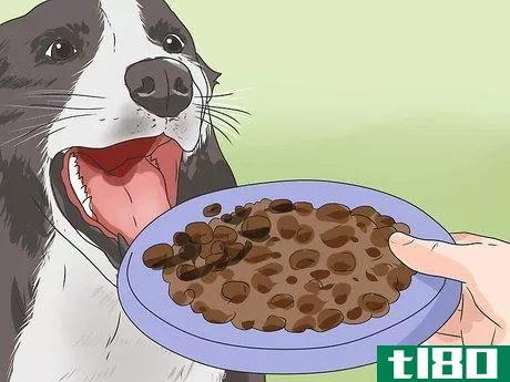 Image titled Introduce a New Dog to Your House and Other Dogs Step 14
