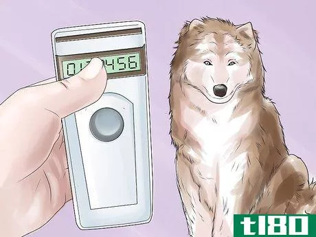 Image titled Inject a Microchip Into a Pet Step 4