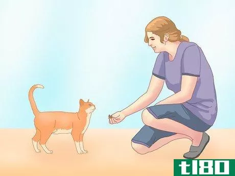 Image titled Get a Cat to Roll Over Step 1