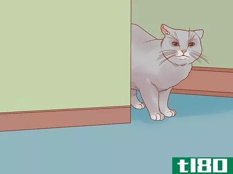 Image titled Know if Your Cat Is Afraid of Something Step 12