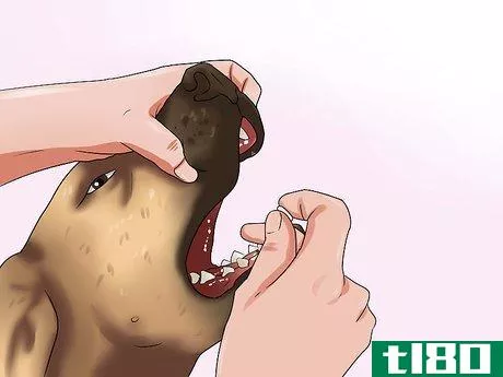 Image titled Get Your Dog to Swallow a Pill Step 15