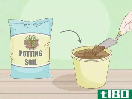 Image titled Grow a Plant Without Soil Step 7