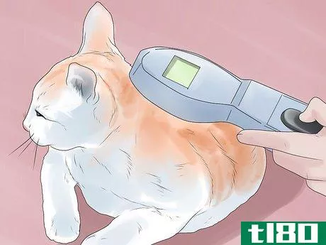 Image titled Inject a Microchip Into a Pet Step 3